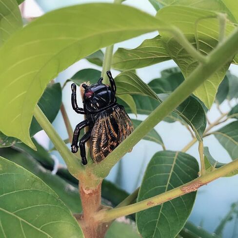 Happyyami 20pcs Simulation Golden Cicada Garden Ornament Cicada Figurine Flower Pot Decorations Fairy Toy Bonsai Ornament Figurine Cicada Delicate Decorate Flowerpot Ornaments Doll PVC in Kuwait