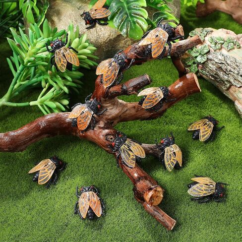 Happyyami 20pcs Simulation Golden Cicada Garden Ornament Cicada Figurine Flower Pot Decorations Fairy Toy Bonsai Ornament Figurine Cicada Delicate Decorate Flowerpot Ornaments Doll PVC in Kuwait