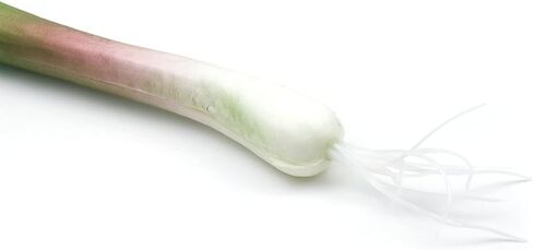 2PCS Artificial Cucumber Soft PU Fake Vegetable Simulation Realistic Faux Cucumber Model for Home Kitchen Decoration Party Photography Props in Kuwait