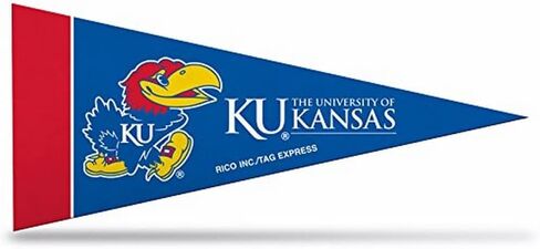 Rico Industries NCAA Unisex 4-Inch by 9-Inch Classic Mini Pennant Décor in Saudi Arabia