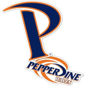 Desert Cactus Pepperdine University Waves Sticker Vinyl Decal Laptop Water Bottle Car Scrapbook (4 Inch Set V1)