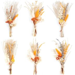 6PCS Mini Boho Dried Flower Bouquet Fall Decor Autumn Decorations Mini Natural Real Plants for Thanksgiving Decor Living Room Decor Wedding Arrangement Home Vase Decorations DIY Craft