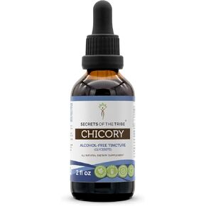 Secrets of the Tribe Chicory Alcohol-Free Liquid Extract, Chicory (Cichorium Intybus) Dried Root Powder Tincture Supplement (4 FL OZ)