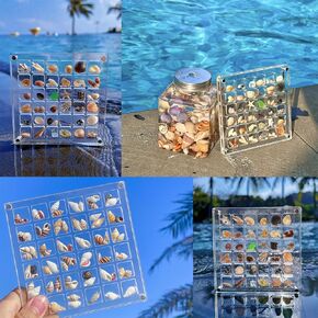 Acrylic Shell Storage Box Shell Display Box Display Cabinet Decoration Shell Starfish Jewelry Small Craft Storage Box can Store Beads Manicure Jewelry (Transparent)