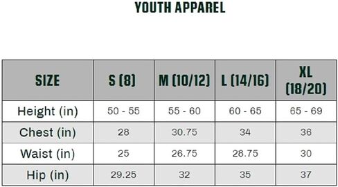 Nike- Jayson Tatum- Boston Celtics Youth Swingman Jersey -White - Youth Large (14-16) in Saudi Arabia