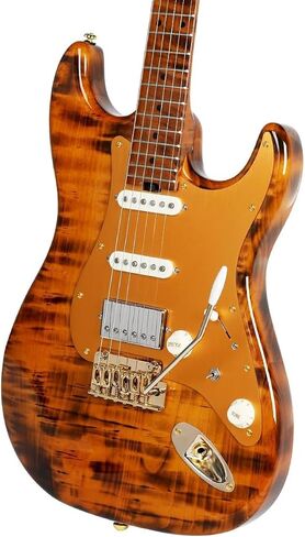 Elem Electric Guitar Kit 39 Inch Full Size,6 Extra String, Picks, Gig Bag, Shoulder Strap, Cable D-300 in Saudi Arabia