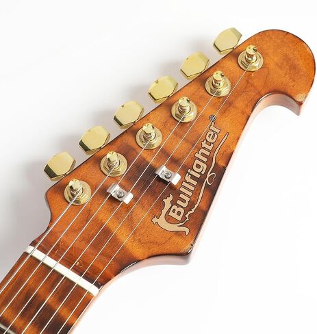 Elem Electric Guitar Kit 39 Inch Full Size,6 Extra String, Picks, Gig Bag, Shoulder Strap, Cable D-300 in Saudi Arabia