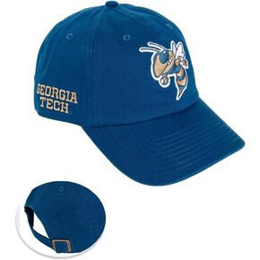 Desert Cactus Georgia Tech University Baseball Hat Yellow Jackets GT Institute of Technology Brimmed Embroirderd Hats Cap Adjustable Cloth Strap Adult (Style D1)