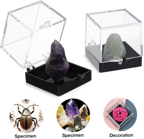 Ciieeo 60 Pcs Mineral Standard Display Box Rock Earring Support Pedestal Stand Containers with Lids Boxes for Display Beads Crystal Bead Container Clear Plastic Small Showcase in Kuwait