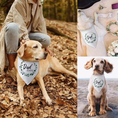 Baby Announcement Dog Bandana Baby Coming Soon Dog Bandana Gender Reveal Dog Baby Announcement Triangle Bibs Scarf Accessories for Small Medium Dogs Pets in Saudi Arabia