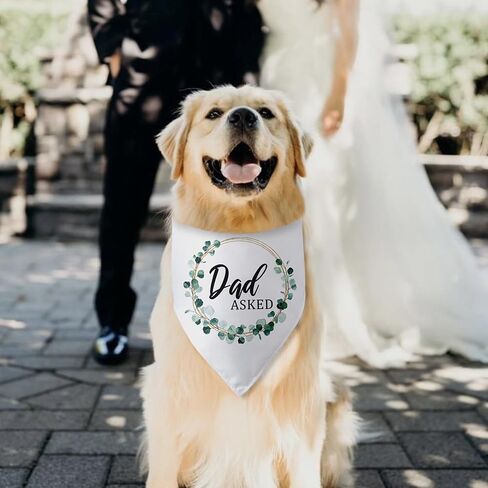 Baby Announcement Dog Bandana Baby Coming Soon Dog Bandana Gender Reveal Dog Baby Announcement Triangle Bibs Scarf Accessories for Small Medium Dogs Pets in Saudi Arabia