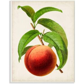 Stupell Industries Vintage Fruit Peach Painting Decorative Wall Hangings, multi-color