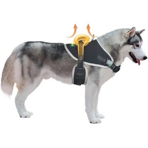 Dog Sleeve to Prevent Licking, Dog Recovery Sleeve, Wear-Resistant Dog Hind Leg Brace, Dog Leg Sleeve Protects Wound, Prevents Skin Damage, Dog Cone Alternative, with Reflective Material- L