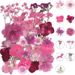 30Pcs Dried Pressed Flowers for Resin Molds Real Pressed Flowers Dry Leaves Bulk Natural Herbs Kit for Scrapbooking DIY Art Crafts Jewelry Molds Candle Soap Making Nails Decor