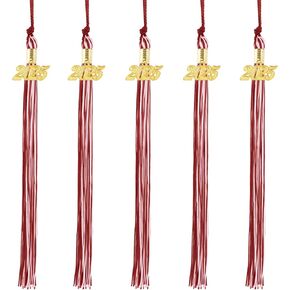 2025 Graduation Tassel, Graduation Cap Tassel, 2025 Tassel Graduation, Black Tassel 2025 with 2025 Year Gold Charms for Graduation Cap Tassel Charms for Graduate Hat Ceremonies Accessories in Saudi Arabia