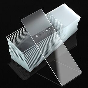 Globe Scientific 1380-30 Microscope Slides, 90 Degree Ground Edges, Frosted, 1 End, 2 Sides, Diamond White Glass, 25 mm x 75 mm Size, 6.5 mm Height, 8.5 mm Wide, 9 mm Length (Pack of 1440)