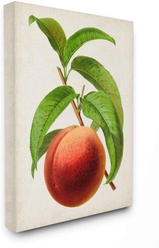 Stupell Industries Vintage Fruit Peach Painting Decorative Wall Hangings, multi-color in Saudi Arabia