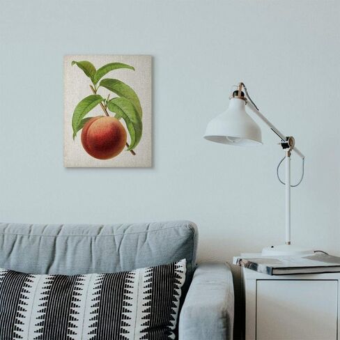 Stupell Industries Vintage Fruit Peach Painting Decorative Wall Hangings, multi-color in Saudi Arabia