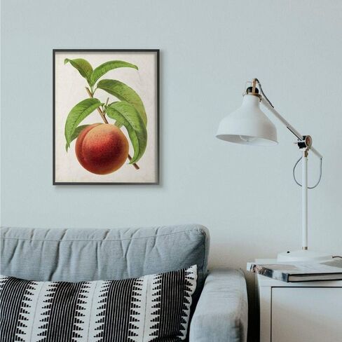 Stupell Industries Vintage Fruit Peach Painting Decorative Wall Hangings, multi-color in Saudi Arabia