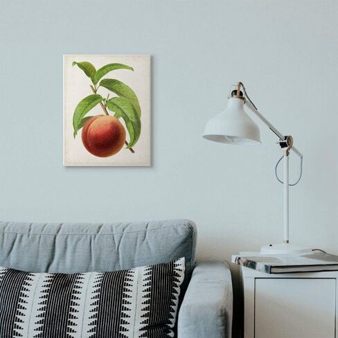 Stupell Industries Vintage Fruit Peach Painting Decorative Wall Hangings, multi-color in Saudi Arabia