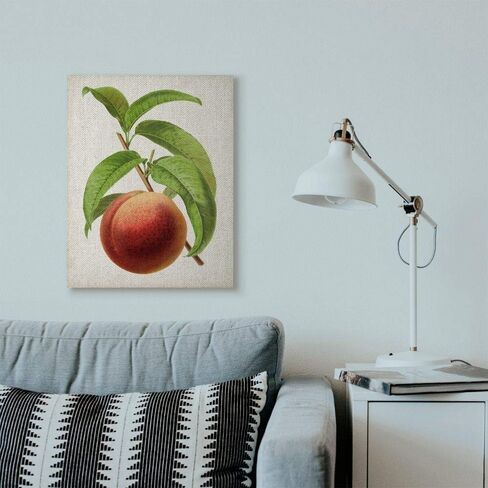 Stupell Industries Vintage Fruit Peach Painting Decorative Wall Hangings, multi-color in Saudi Arabia