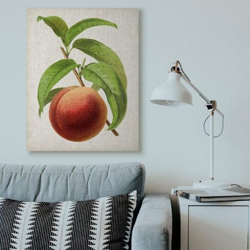 Stupell Industries Vintage Fruit Peach Painting Decorative Wall Hangings, multi-color in Saudi Arabia