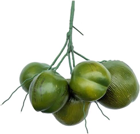 1 مجموعة من فاكهة جوز الهند الاصطناعية النابضة بالحياة لتزيين حفلات الزفاف في Safari Jungle Hawaiian Luau in Kuwait