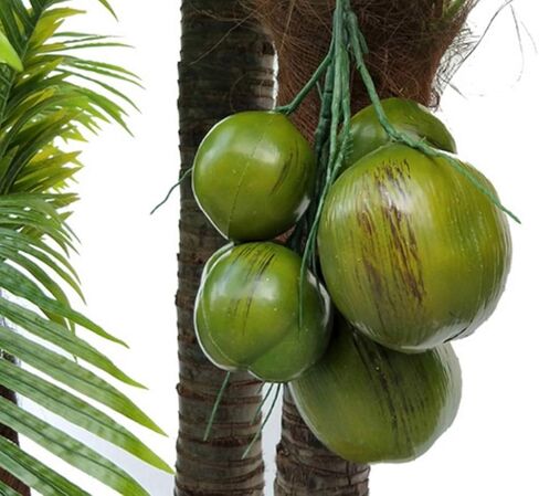 1 مجموعة من فاكهة جوز الهند الاصطناعية النابضة بالحياة لتزيين حفلات الزفاف في Safari Jungle Hawaiian Luau in Kuwait