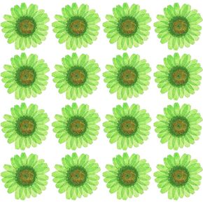 PATIKIL 48 Pcs Dried Pressed Flower Natural Dried Daisy Flower for DIY Art Crafts House Decoration Nails Decoration,Color Absorbing Blue