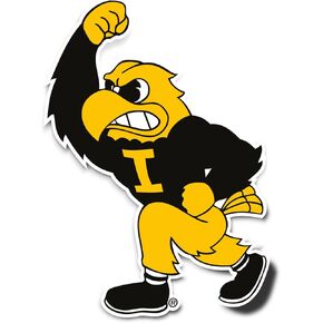 Desert Cactus University of Iowa Sticker Hawkeyes Vinyl Decal Laptop Water Bottle Car Scrapbook (IND 6)
