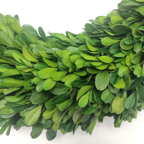Preserved Boxwood Wreath 12 Inch Wreath for Front Door Farmhouse Wedding Party Greenery Wreath for All Seasons Decoration in Saudi Arabia