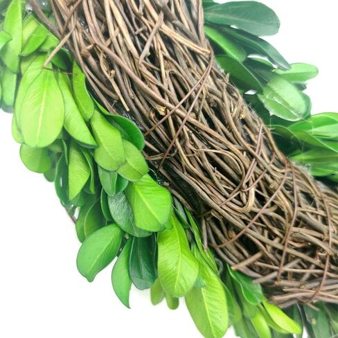 Preserved Boxwood Wreath 12 Inch Wreath for Front Door Farmhouse Wedding Party Greenery Wreath for All Seasons Decoration in Saudi Arabia