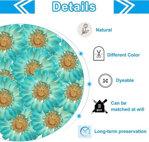 PATIKIL 48 Pcs Dried Pressed Flower Natural Dried Daisy Flower for DIY Art Crafts House Decoration Nails Decoration,Color Absorbing Blue in Saudi Arabia
