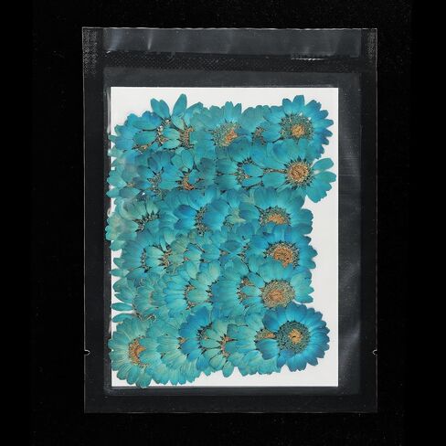 PATIKIL 48 Pcs Dried Pressed Flower Natural Dried Daisy Flower for DIY Art Crafts House Decoration Nails Decoration,Color Absorbing Blue in Saudi Arabia