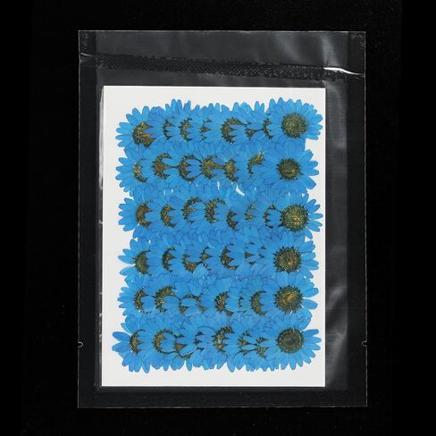 PATIKIL 48 Pcs Dried Pressed Flower Natural Dried Daisy Flower for DIY Art Crafts House Decoration Nails Decoration,Color Absorbing Blue in Saudi Arabia