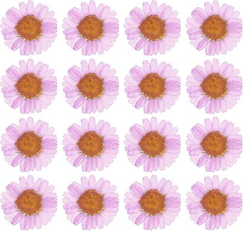PATIKIL 48 Pcs Dried Pressed Flower Natural Dried Daisy Flower for DIY Art Crafts House Decoration Nails Decoration,Color Absorbing Blue in Saudi Arabia