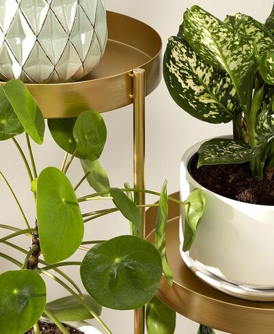 Kate and Laurel Finn Modern 4-Tier Plant Stand, 10 x 11 x 44, Gold, Folding Lightweight Plant Stand for Decorative Display and Storage in Saudi Arabia
