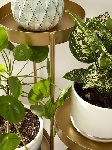 Kate and Laurel Finn Modern 4-Tier Plant Stand, 10 x 11 x 44, Gold, Folding Lightweight Plant Stand for Decorative Display and Storage in Saudi Arabia