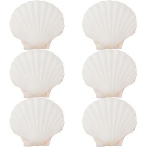 6PCS 4inch Scallop Shells, White Sea Shell for Crafting, DIY Painting, Home Wedding Decoration Natural Scallop Shells