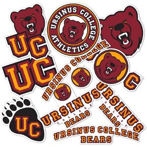 Desert Cactus Ursinus College Stickers UC Bears Vinyl Decals Laptop Water Bottle Car Scrapbook 13.46x10.94 Sheet T2 (Type 2)