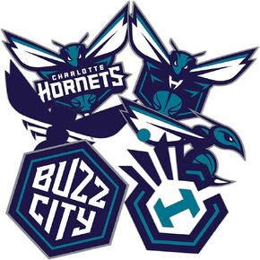 Desert Cactus Charlotte Hornets Stickers NBA Officially Licensed Vinyl Decal Laptop Water Bottle Car Scrapbook (Type 2)