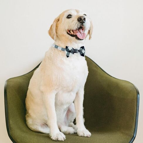 KOOLMOX Cat Bow Tie, 20 Adjutable Dog Collar with Bowtie Plaid, Dog Bowtie Cat Bowtie Dog Bow Ties Dog Bowtie for Medium Small Puppy Large Dogs Costumes Pet Neck Bows Dog Dresses for Small Dogs Girl in Saudi Arabia