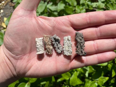 Starborn Fulgurite Specimen, Large - 1 piece in Saudi Arabia