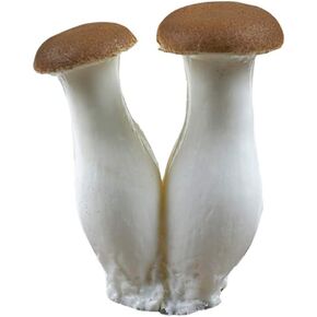 Zzooi Artificial High Simulation Pleurotus Eryngii Fake King Oyster Mushroom for Home Decor