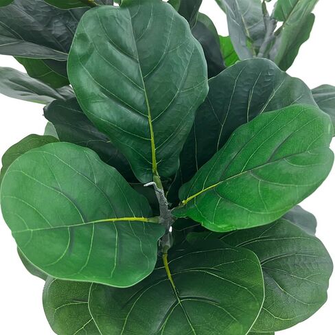 Artificial Fiddle Leaf Fig Tree 5FT, 2 Pack Faux Fiddle Leaf Fig Tree with Tall White Planter, Realistic Leaves & Natural Wood Trunk, Ideal for Home Decor and Housewarming Gift in Saudi Arabia
