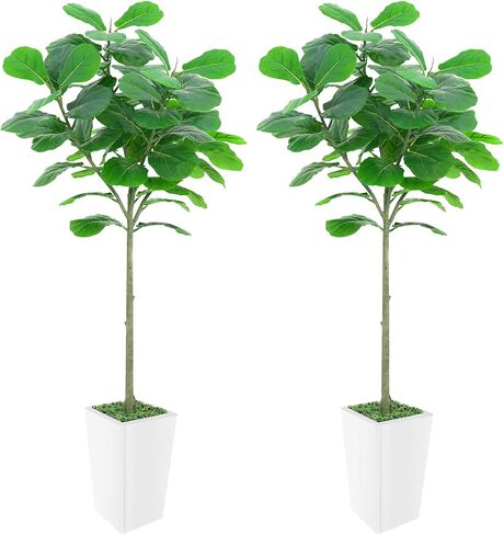 Artificial Fiddle Leaf Fig Tree 5FT, 2 Pack Faux Fiddle Leaf Fig Tree with Tall White Planter, Realistic Leaves & Natural Wood Trunk, Ideal for Home Decor and Housewarming Gift in Saudi Arabia