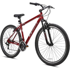 Kent International 29" T29 Mountain Bike