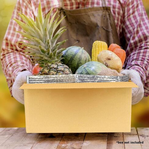 ABC PACK & SUPPLY 10 Pack Silver Foil Insulated Box Liners 11 x 8.5 x 5.5 inches. Shipping Boxes for Frozen Food, Odorless Insulated Containers. Leakproof Cold Shipping Boxes for Frozen Fish, Meat in Saudi Arabia