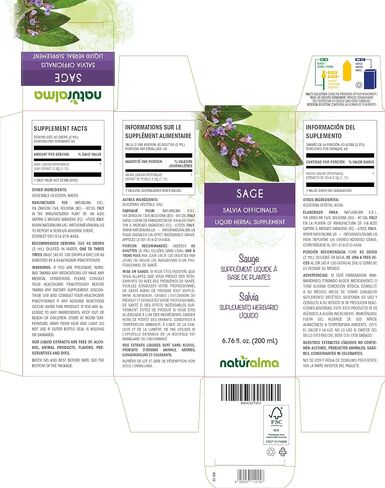 المريمية (Salvia officinalis) صبغة أوراق خالية من الكحول Naturalma | 4 أونصة سائلة من المستخلص في قطرات | مكمل عشبي | نباتي | منتج إيطاليا in Kuwait