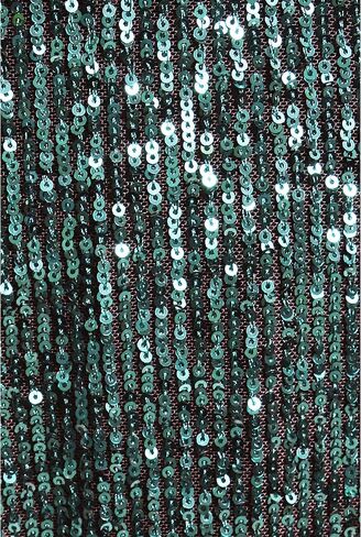 Alex Evenings Women's Size 3/4 Sleeve Sequin A-line Party Dress (Missy, Petite, Plus) in Saudi Arabia